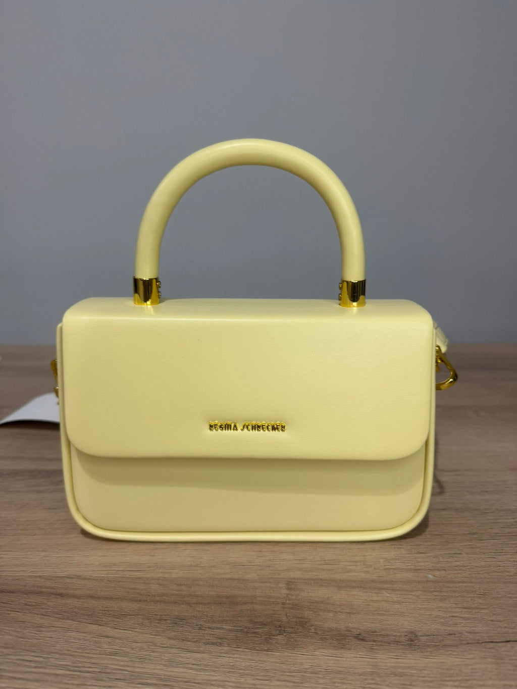 Bolso de Mano Regina Schrecker – Colores Pastel Estructurado